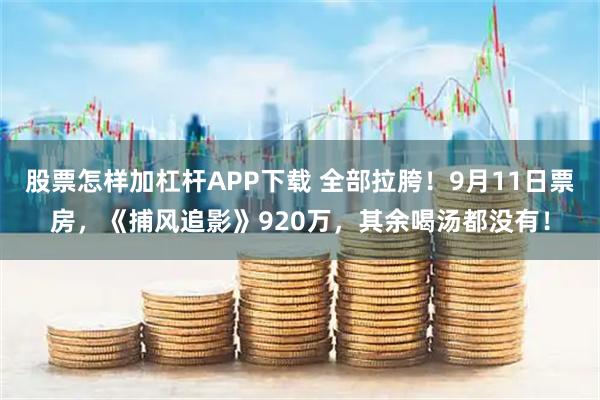 股票怎样加杠杆APP下载 全部拉胯！9月11日票房，《捕风追影》920万，其余喝汤都没有！