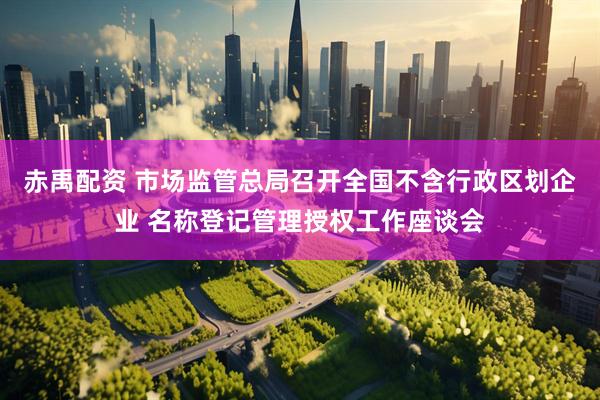 赤禹配资 市场监管总局召开全国不含行政区划企业 名称登记管理授权工作座谈会