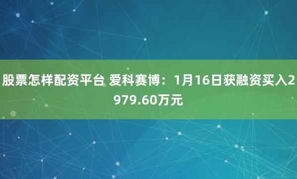 股票怎样配资平台 爱科赛博：1月16日获融资买入2979.60万元