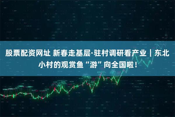 股票配资网址 新春走基层·驻村调研看产业｜东北小村的观赏鱼“游”向全国啦！